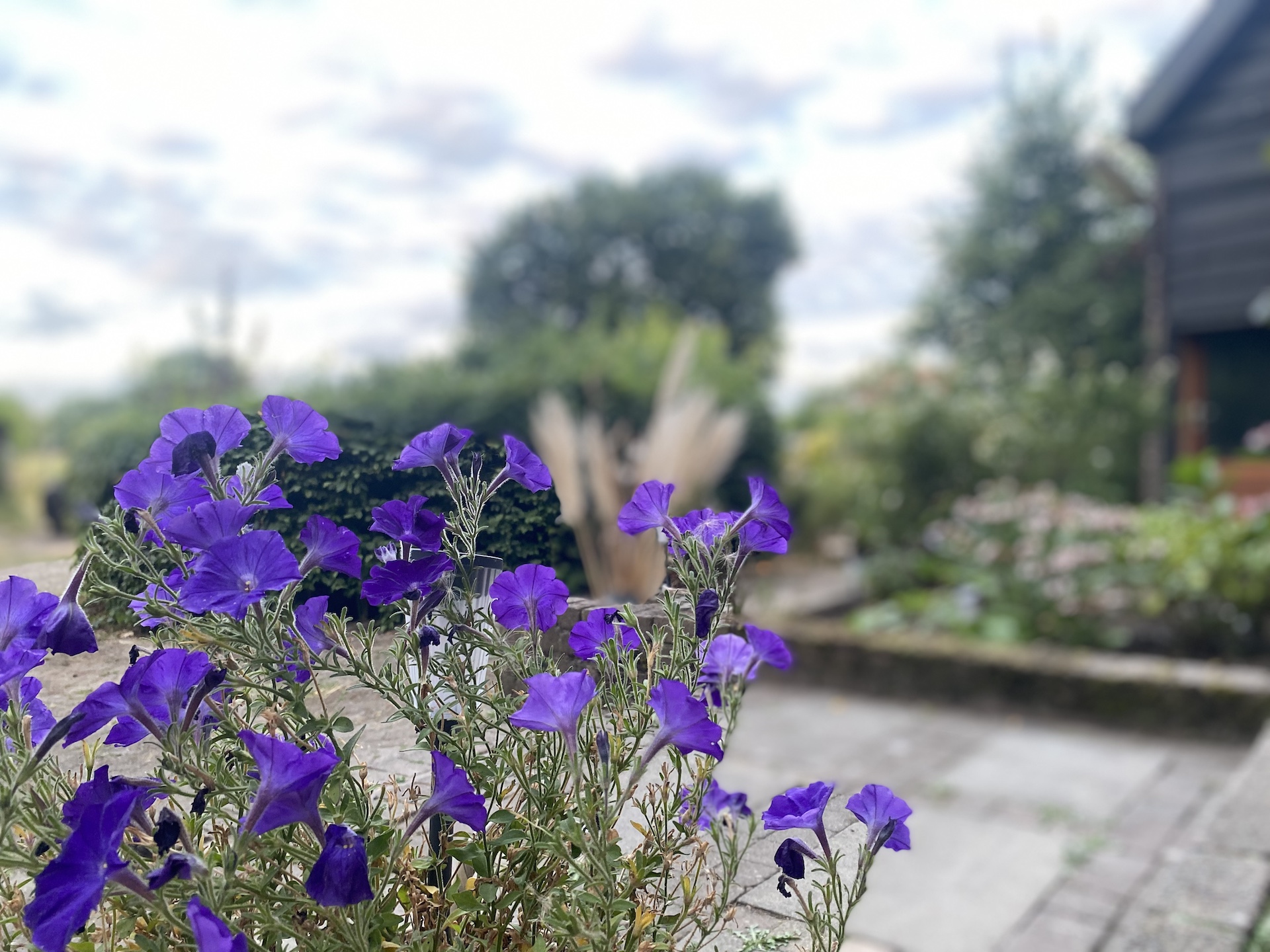 Tuin en buiten zijn de-verbinding 2