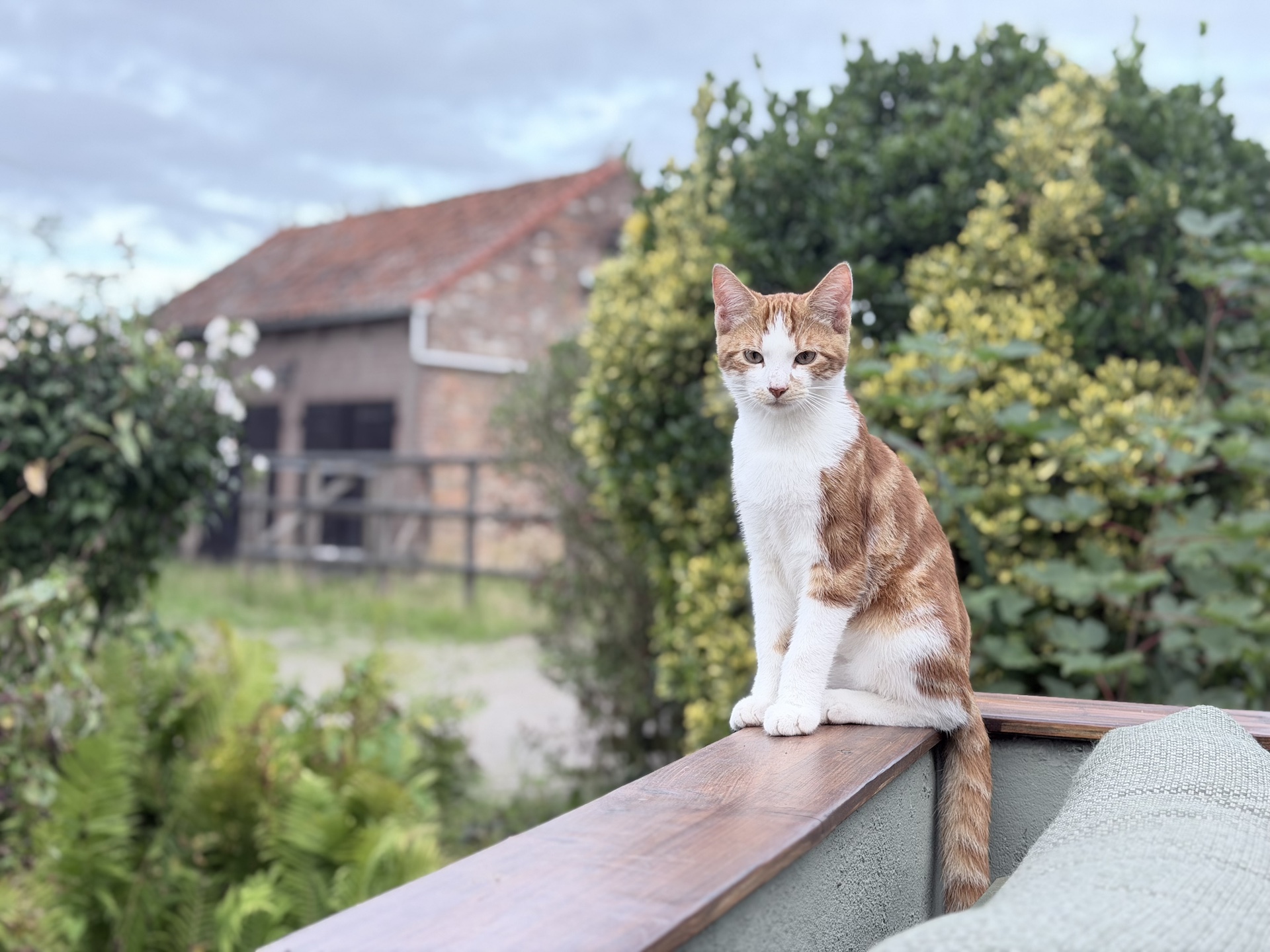 Tuin en buiten zijn de-verbinding 4